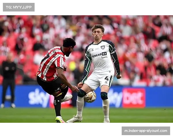 桑德兰作为升班马防守纪律严明，失球数控制优于部分传统球队